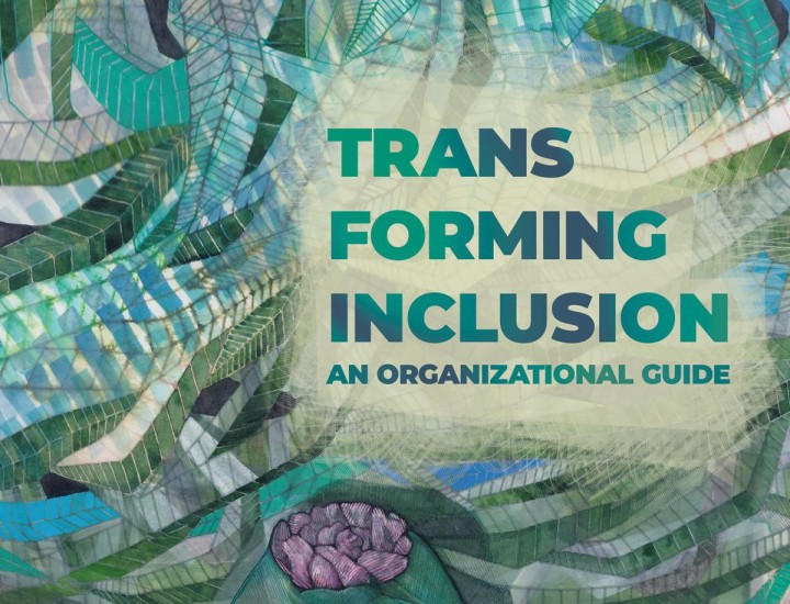 transforminginclusioncover